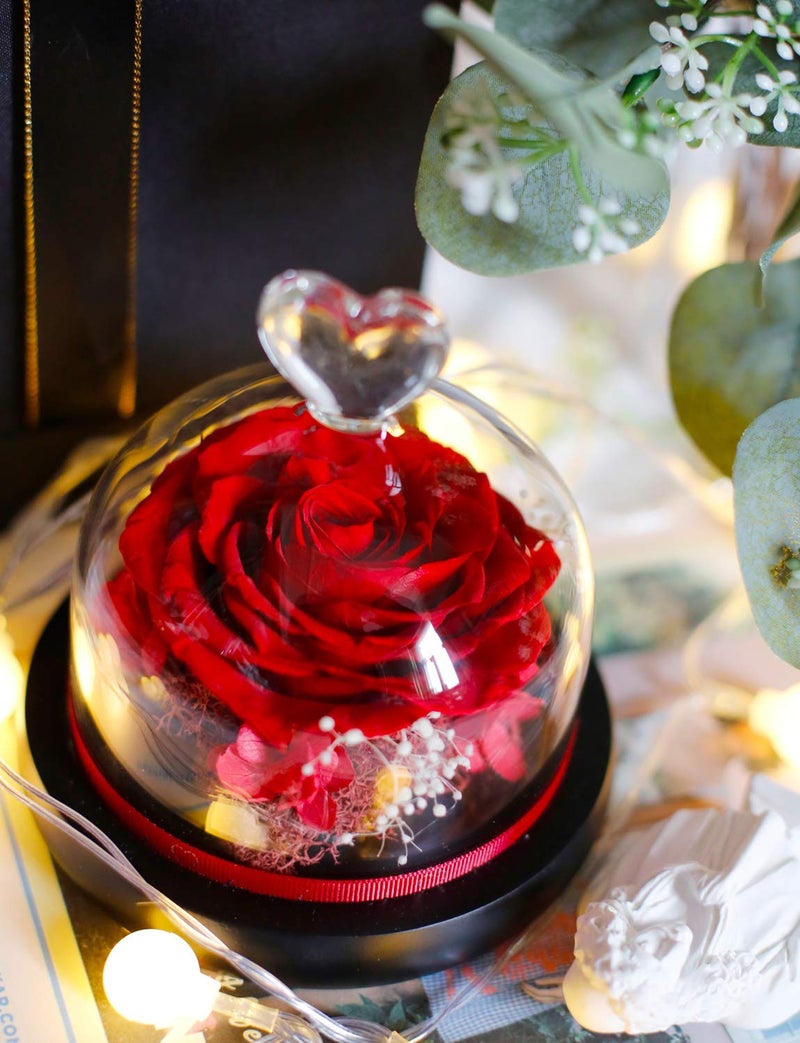 DuHouse Forever Roses Preserved Real Flowers Eternal Enchanted Rose Flower Box for Valentines Gifts Birthday Anniversary Christmas (Red) - Image 4